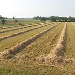 Domus Magna Alojamento de Turismo Rural Povoletto