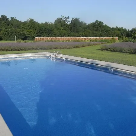 Domus Magna * 포볼레토