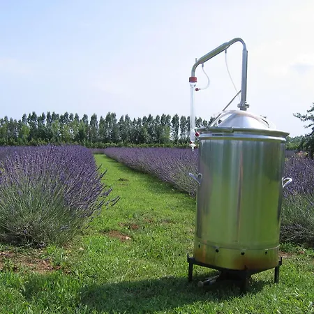 Farm stay Domus Magna