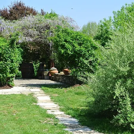 Domus Magna *