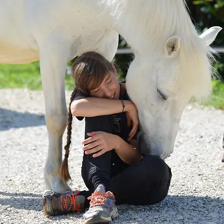 Domus Magna 팜스테이