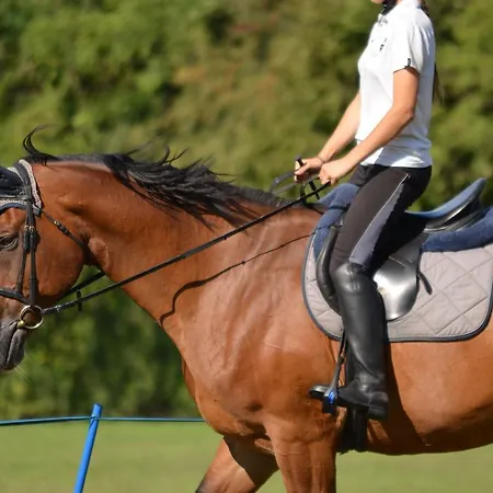 Domus Magna 포볼레토