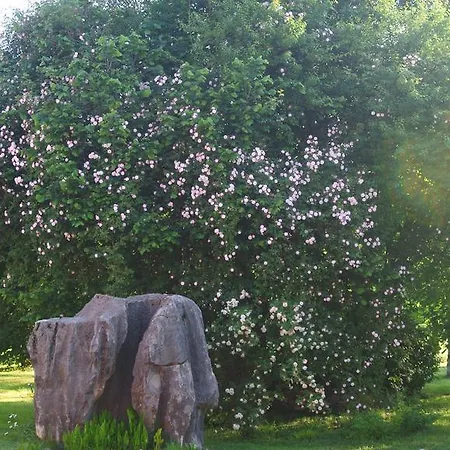 Domus Magna * 포볼레토