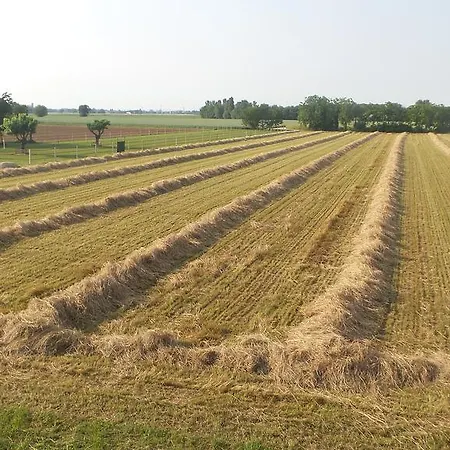 Domus Magna 팜스테이 포볼레토