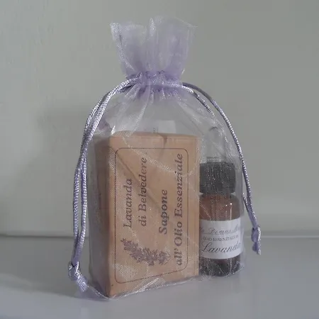 Domus Magna 팜스테이