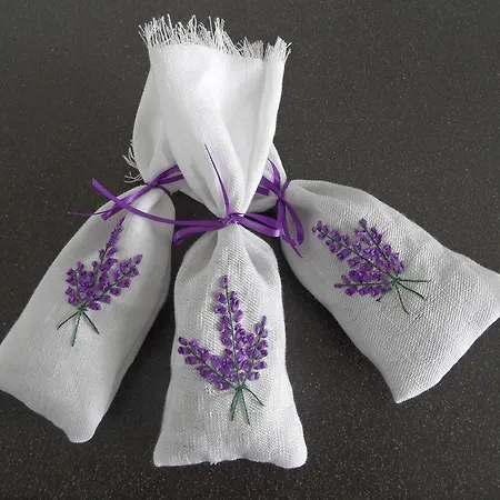 팜스테이 Domus Magna *