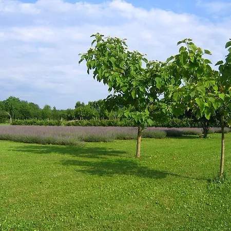 Domus Magna Vakantieboerderij *
